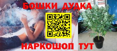ГАЛЛЮЦИНОГЕННЫЕ ГРИБЫ Тулун