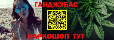 гашик Тула
